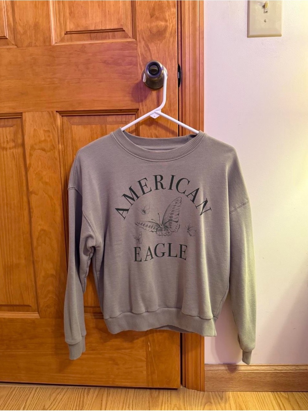 American Eagle Outfitters Green Crewneck Sweatshirt with Butterfly Logo